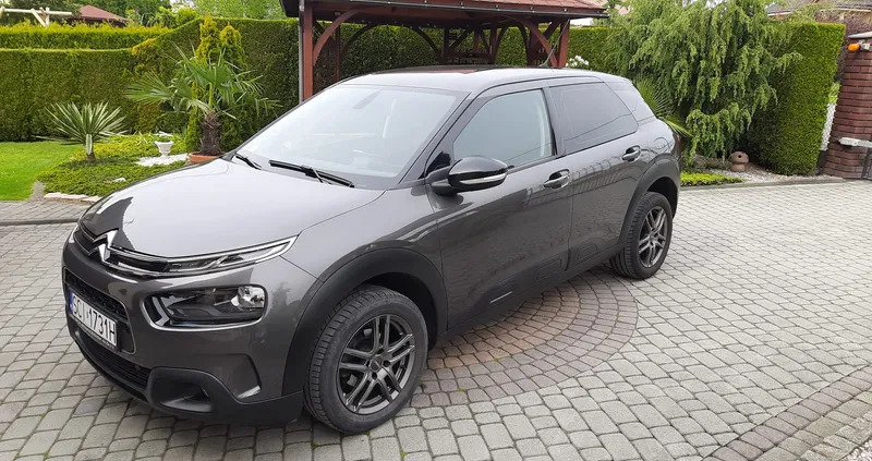 śląskie Citroen C4 Cactus cena 48900 przebieg: 79350, rok produkcji 2018 z Bogatynia